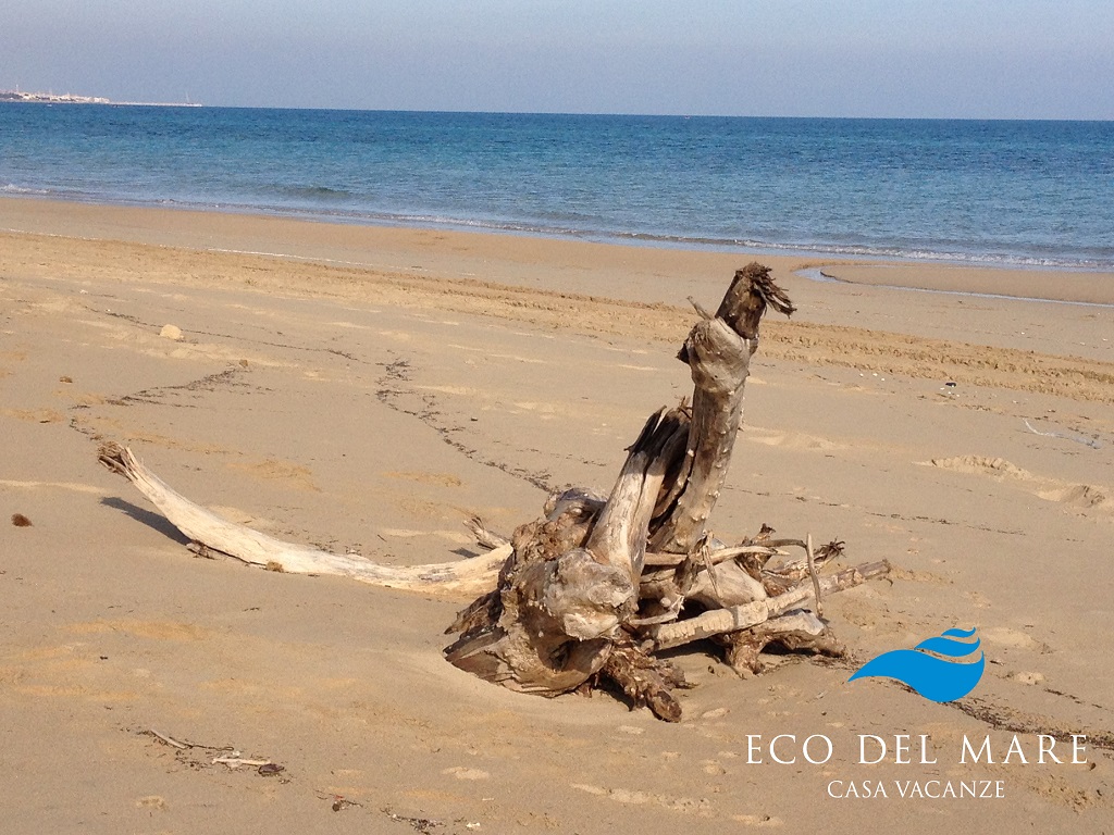 Ecodelmare - Spiaggia