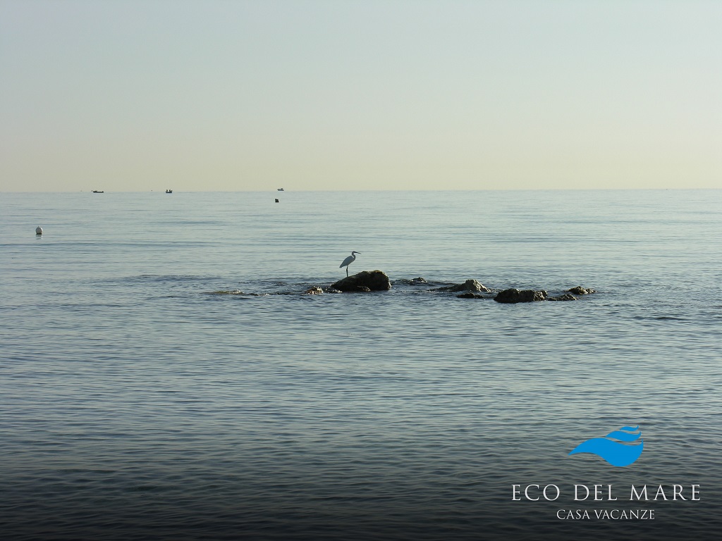 Ecodelmare - Spiaggia